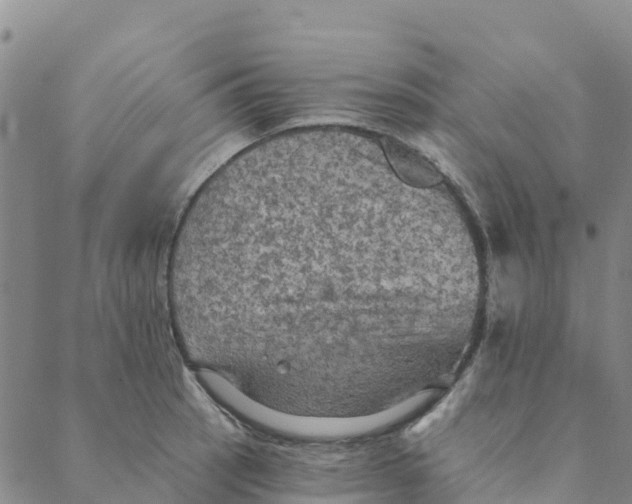 X0000088391137200706121203