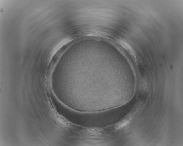 X0000088391138200706121203