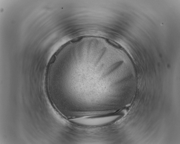 X0000088391139200706121203