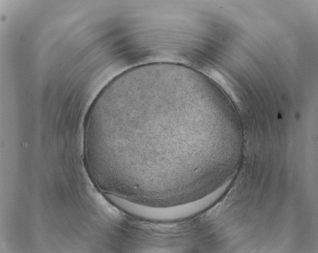 X0000088391140200706121203