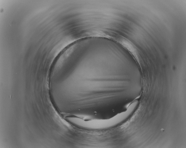 X0000088391141200706121203