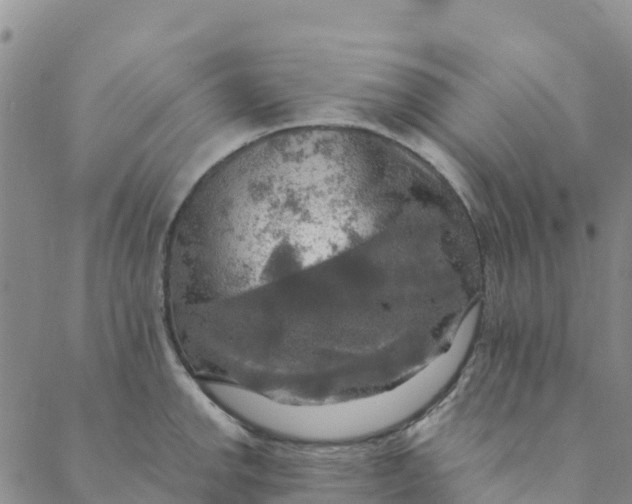 X0000088391142200706121203