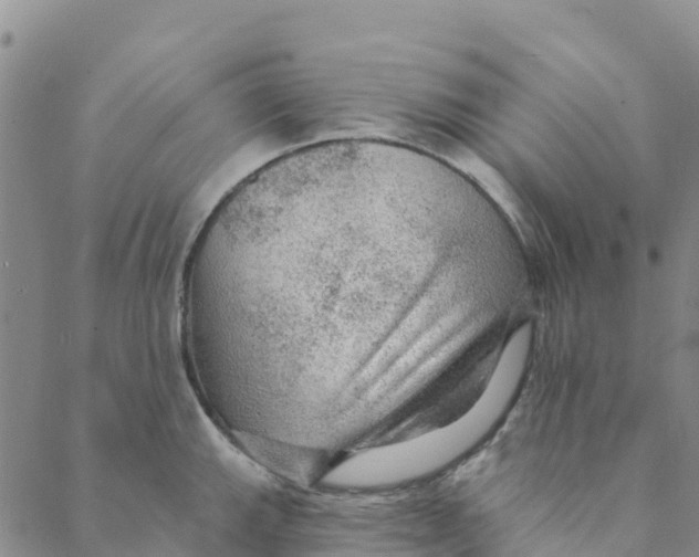 X0000088391143200706121203