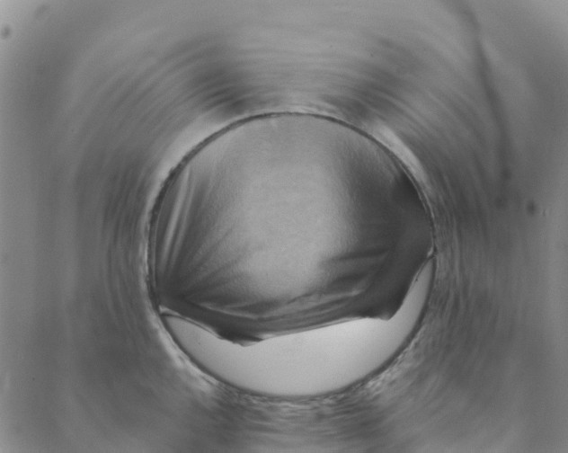 X0000088391144200706121203