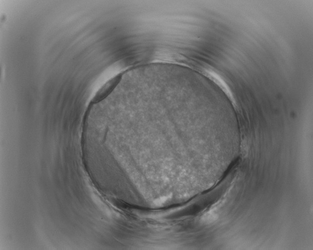 X0000088391146200706121203