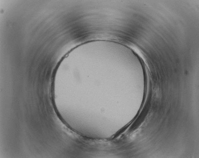 X0000088391147200706121203