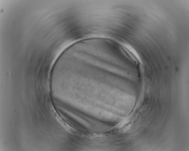 X0000088391148200706121203