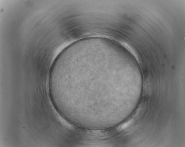 X0000088391149200706121203