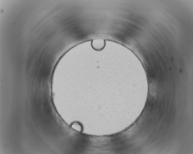 X0000088391150200706121203