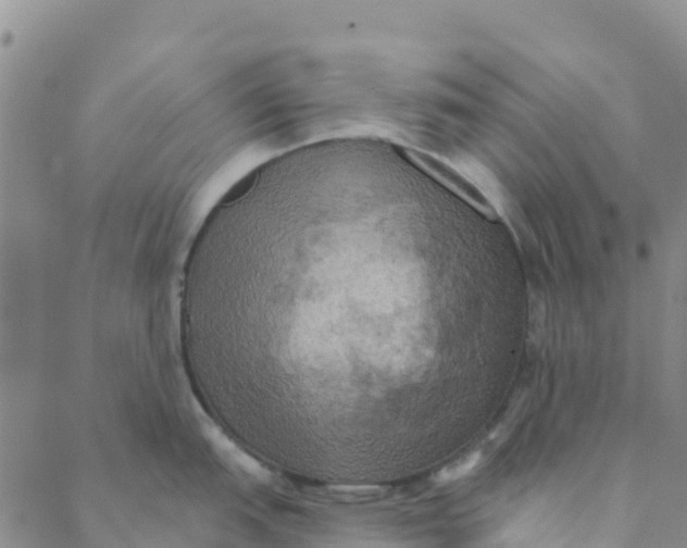 X0000088391151200706121203