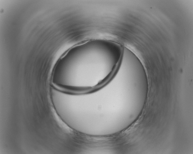 X0000088391152200706121204