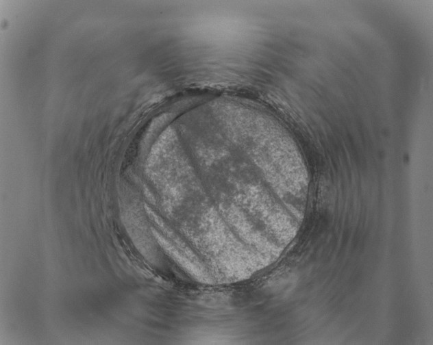 X0000088391153200706121203