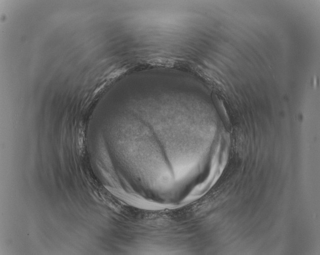 X0000088391154200706121203