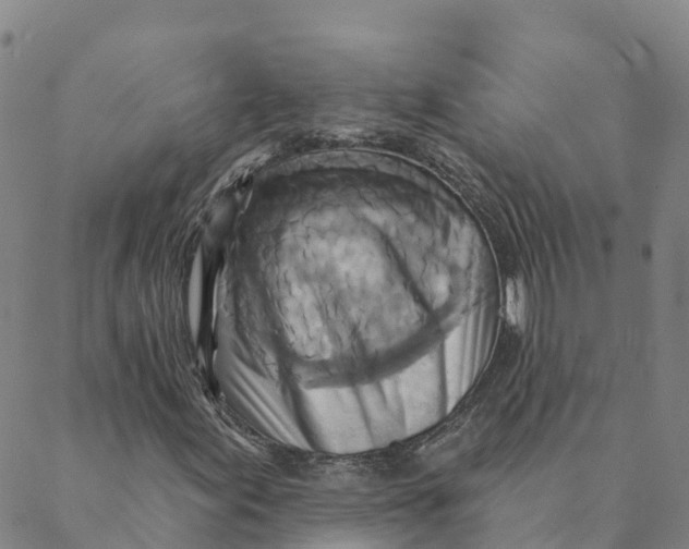 X0000088391155200706121203