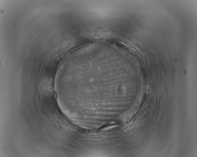 X0000088391156200706121203