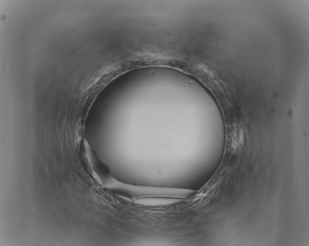 X0000088391157200706121203