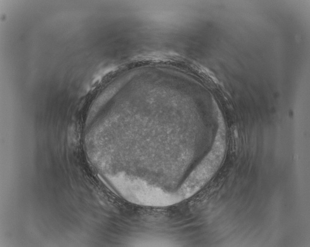 X0000088391158200706121203