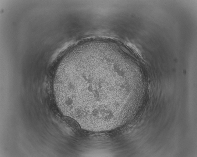 X0000088391159200706121203