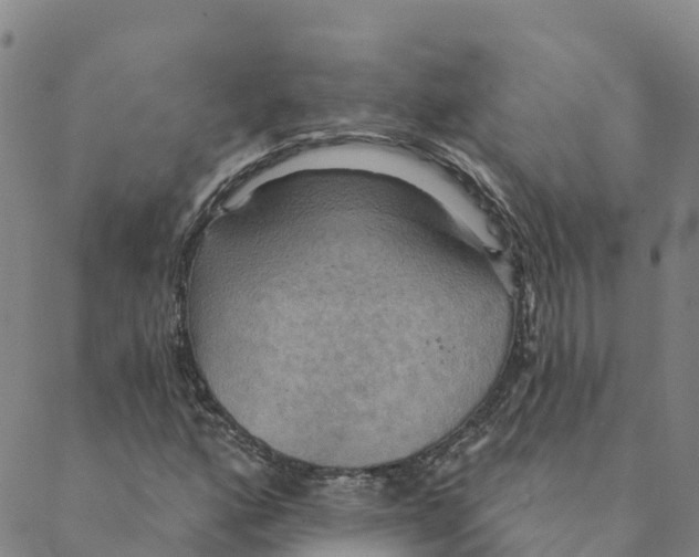 X0000088391160200706121203