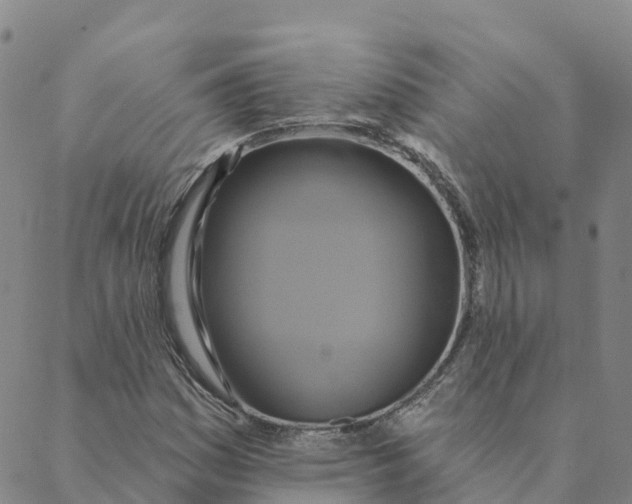 X0000088391161200706121203