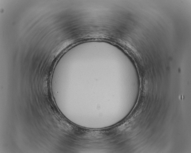 X0000088391162200706121203