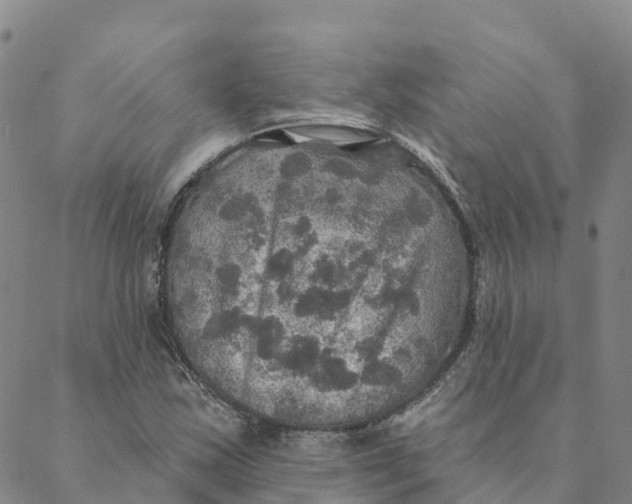 X0000088391163200706121203