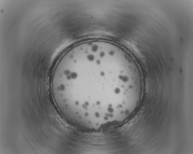 X0000088391164200706121203