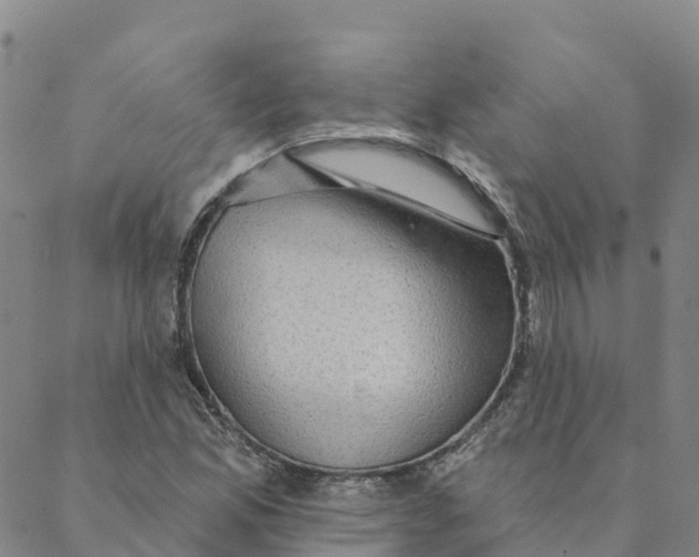 X0000088391165200706121203