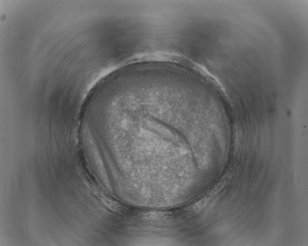 X0000088391166200706121203