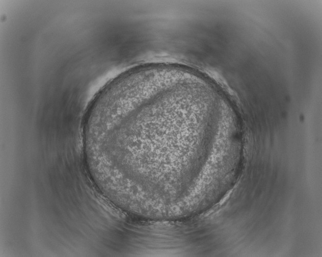 X0000088391167200706121203