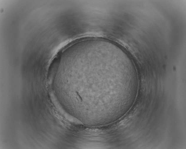 X0000088391168200706121202