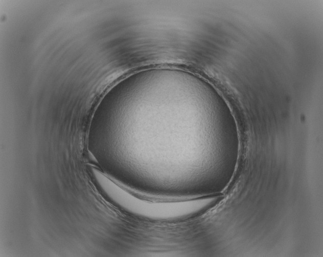 X0000088391169200706121202