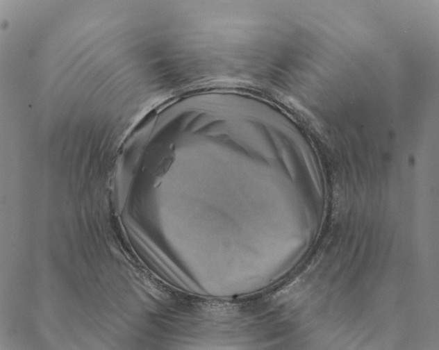 X0000088391170200706121202