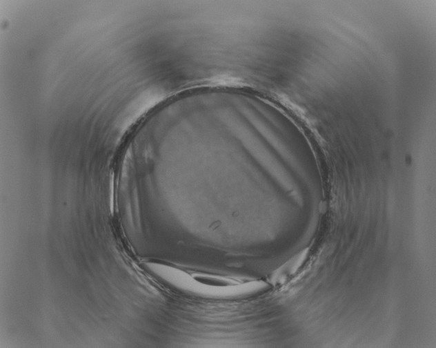 X0000088391171200706121202