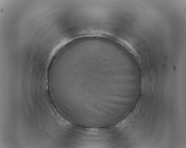 X0000088391172200706121202