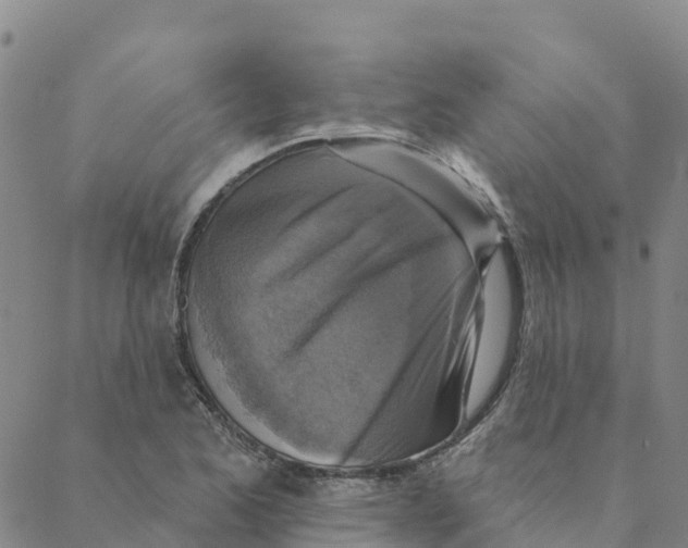 X0000088391173200706121202