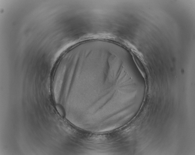 X0000088391174200706121202