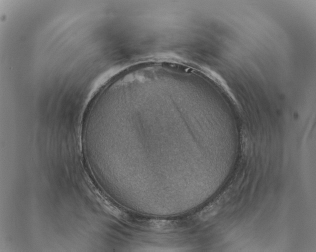 X0000088391176200706121202