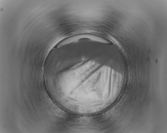 X0000088391178200706121202