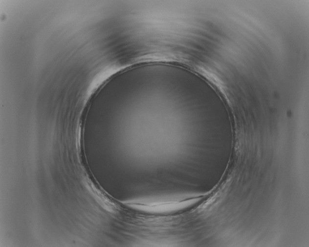 X0000088391179200706121202