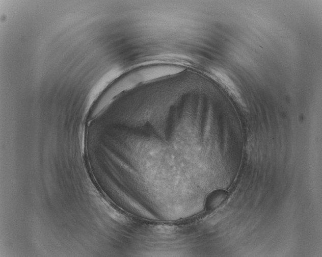 X0000088391180200706121202