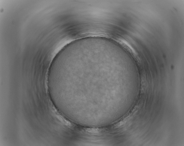 X0000088391182200706121202