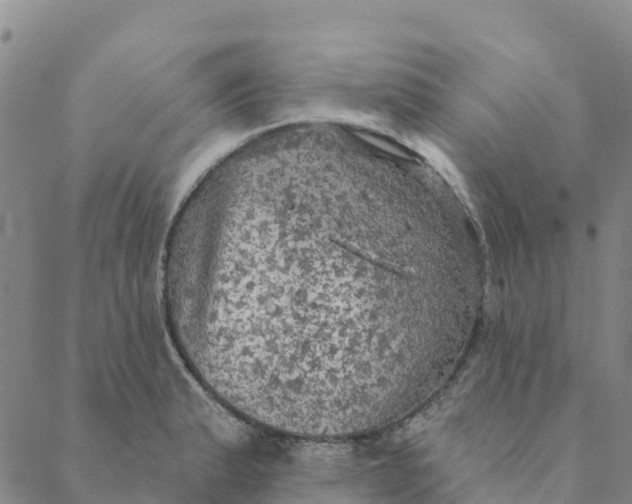 X0000088391183200706121202