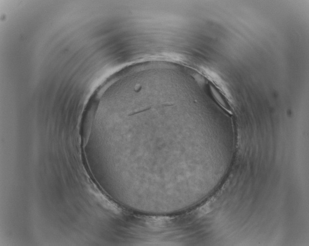 X0000088391184200706121202