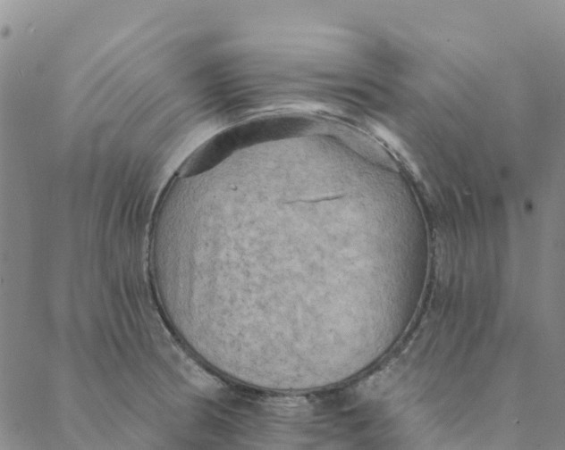 X0000088391186200706121202