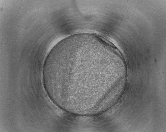 X0000088391187200706121202