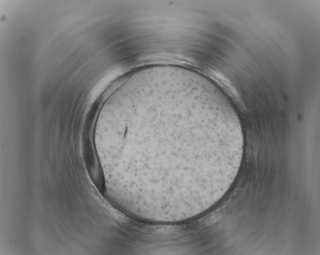 X0000088391188200706121202