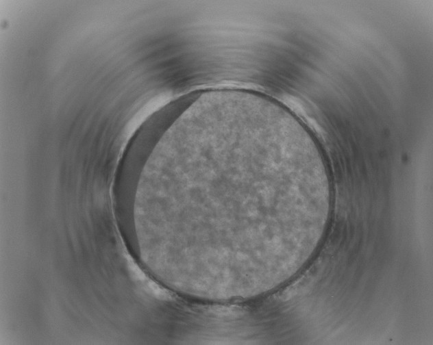 X0000088391189200706121202