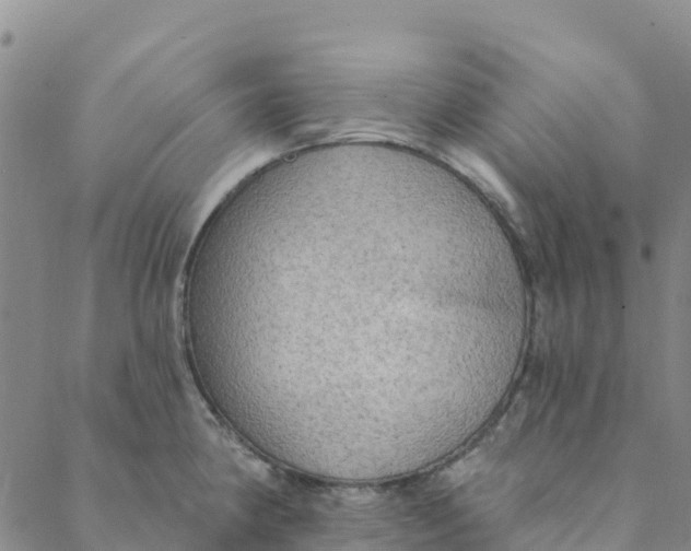 X0000088391190200706121202