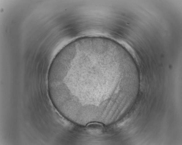 X0000088391191200706121202